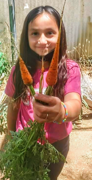 Greenhouses & Gardens